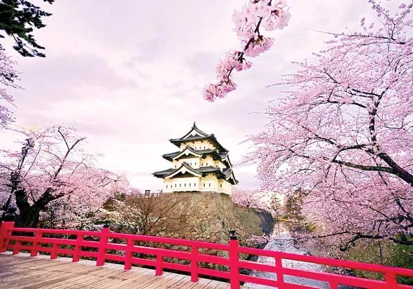 Rộn ràng du lịch Tết 2017