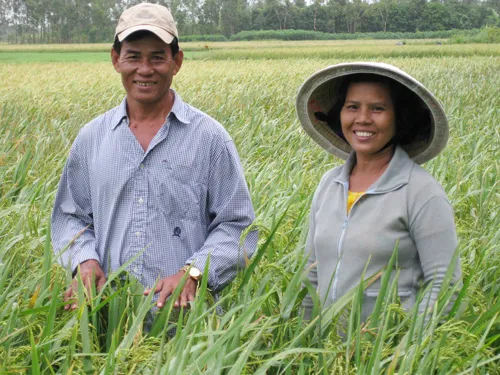 Miễn thuế sử dụng đất nông nghiệp cho hộ gia đình, cá nhân