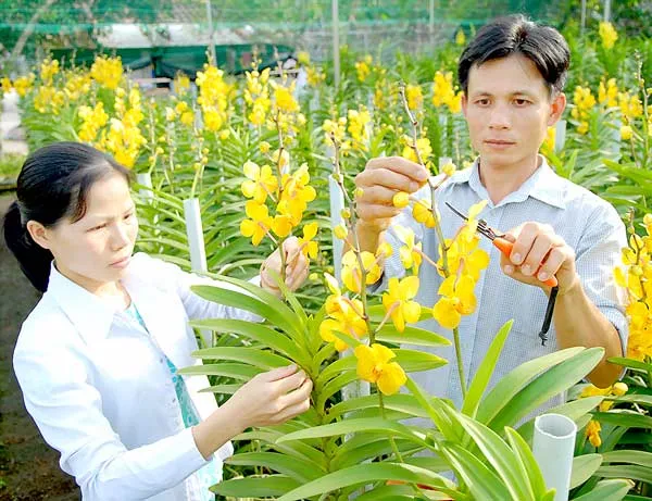 Tạo cú hích phát triển nông nghiệp đô thị