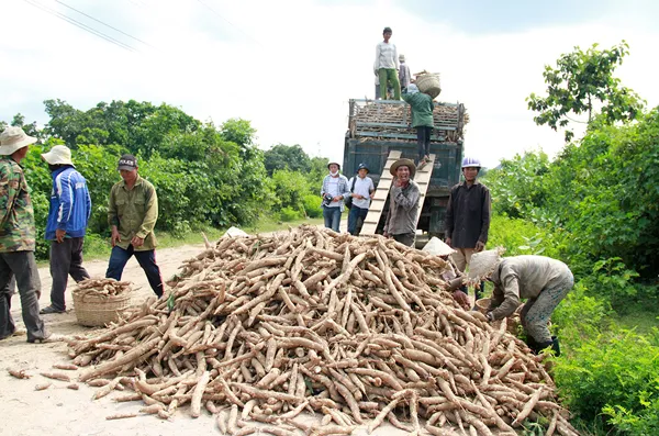 Làm đường mạch nha