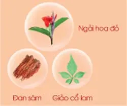 Sau nhồi máu cơ tim: Để cuộc sống không còn là cuộc chiến!