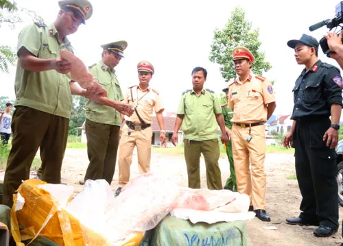 Bắt vụ vận chuyển 5,5 tấn thịt và mỡ động vật hôi thối
