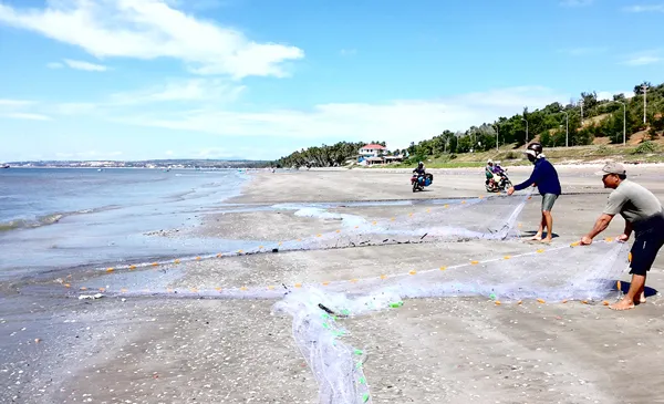 Rộn ràng mùa ruốc biển