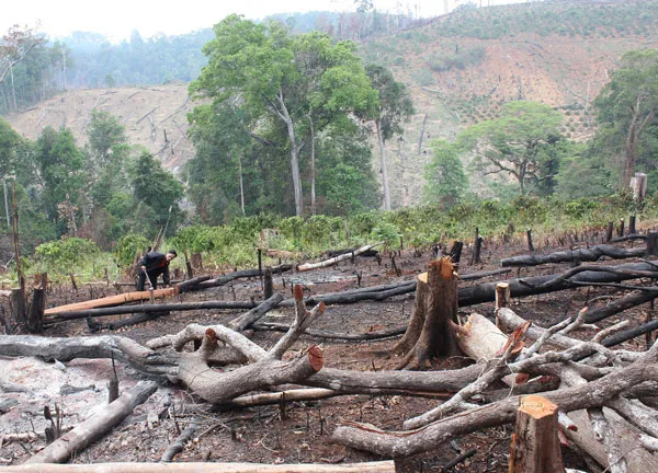 Tỉnh Đắk Nông yêu cầu công an tỉnh cung cấp tài liệu để xử lý Công ty Gia Nghĩa