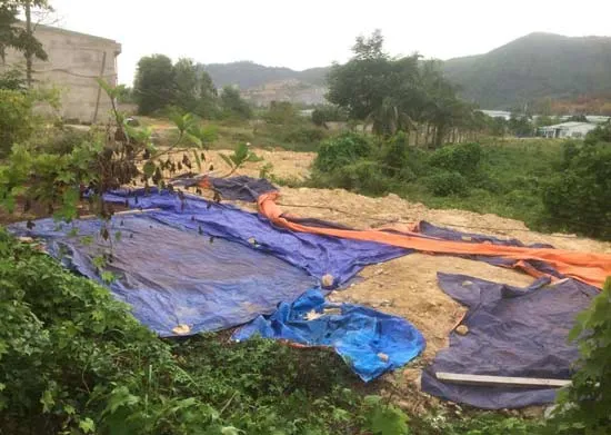 Đà Nẵng phạt 2 công ty vi phạm về môi trường gần 1,5 tỷ đồng