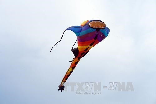 Kites at previous events (Photo: VNA)
