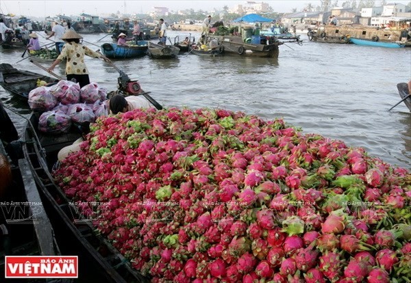 A floating market in Can Tho city. (Source: VNA)