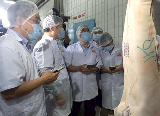 Members of the National Assembly delegation find out how to trace back the origin of pork at Vissan Company (Photo: SGGP)
