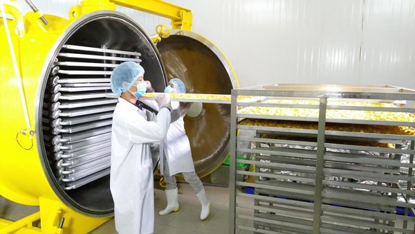 Vinamit fruit processing plant Binh Duong province (Photo: SGGP)