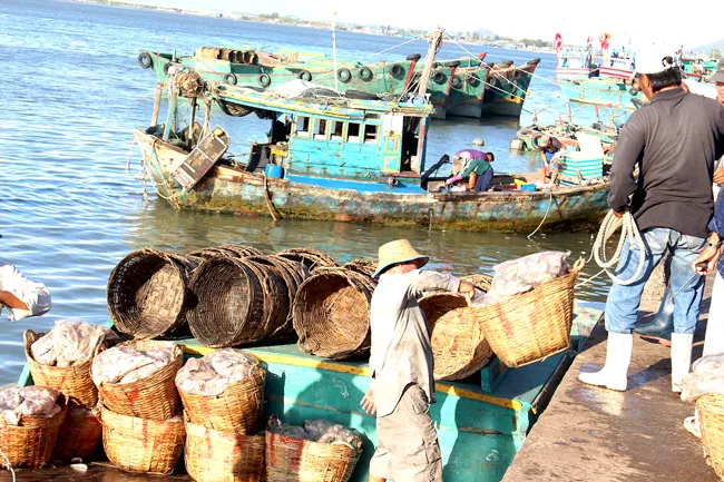 Ngày mới ở làng chài Phước Tỉnh