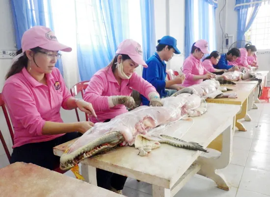 Để làm giàu từ nghề nuôi cá sấu