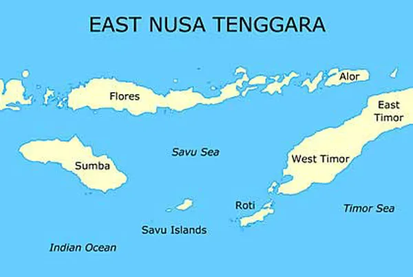 Kẻ đâm học sinh bị người dân đánh chết trong đồn cảnh sát Indonesia