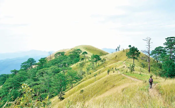 Mùa cỏ cháy nơi “thiên đường”