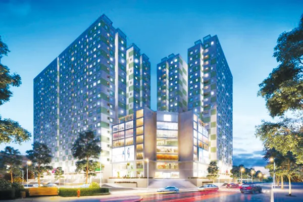 Cùng Đạt Gia mừng xuân Đinh Dậu