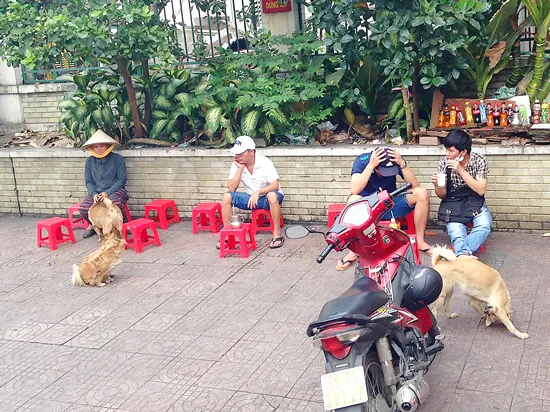 Láng giềng bất hòa vì chuyện nuôi chó