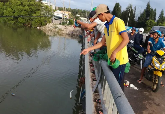 “Tuyệt chiêu” câu cá bằng...vỏ  chai ảnh 2