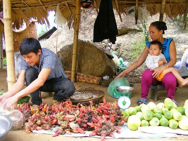 Ngược rẻo cao “săn” hàng tết