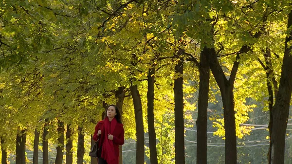 Phim truyền hình tết: Câu chuyện cảm xúc về tình bạn, tình yêu