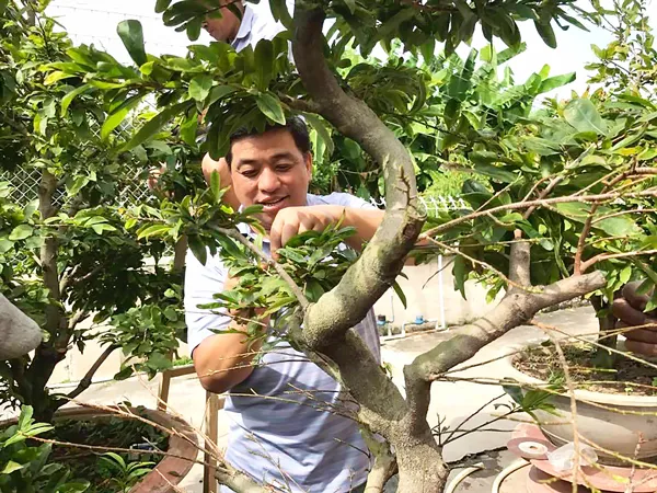 Tết quê hương của kiều bào