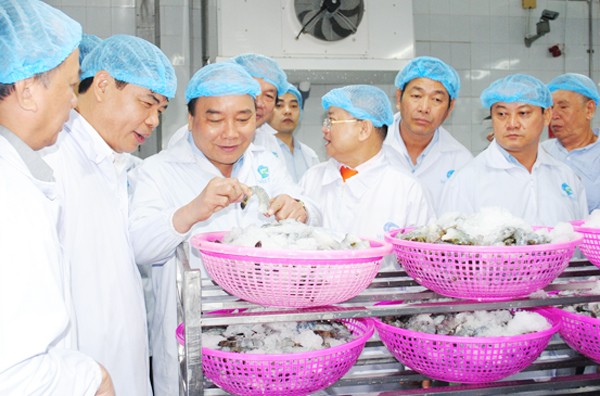 Prime Minister Nguyen Xuan Phuc (L, 3rd) visits Minh Phu shrimp processing plant in Ca Mau province on February 5 (Photo: SGGP)