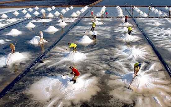 The photo titled "Salt harvesting" by Tran Thi Thu Dong