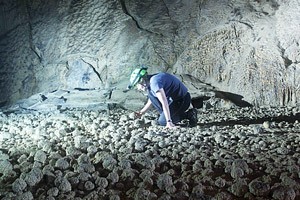 Son Doong cave in Quang Binh attracts more international tourists