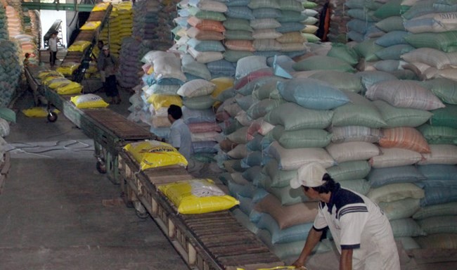 Workers at Hau River Food Company in the southern Can Tho Province load rice for export (Photo: VNA)