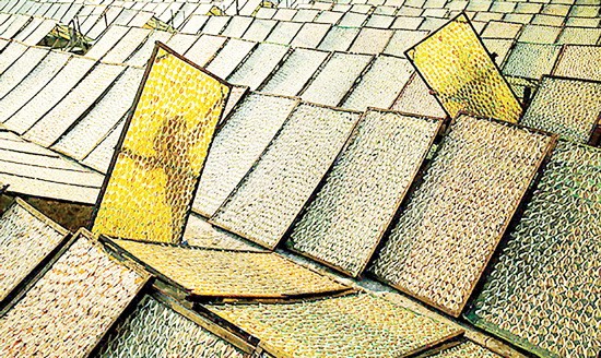 The photo Welcoming sunshine by Tran Thi Thu Dong