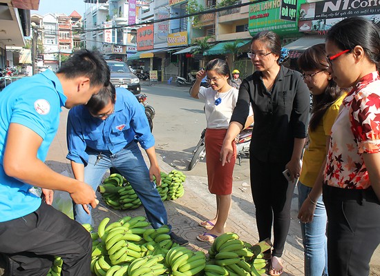 Young people sell bananas to help farmers in Dong Nai Province (photo: SGGP)