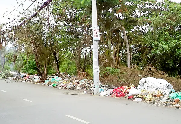 Sau tết, đổ rác đầy đường