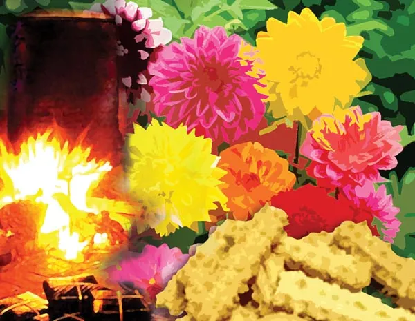 Nhạt mùi tết nhất