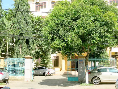 Chi cục Thuế TP Buôn Ma Thuột làm thất thu thuế tiền tỷ