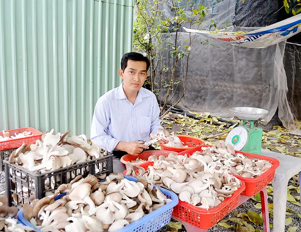 Thanh niên 8x khởi nghiệp từ nấm