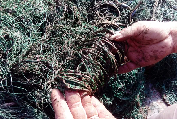 Kiểm tra bùn lạ phá lưới ngư dân trên biển ảnh 2