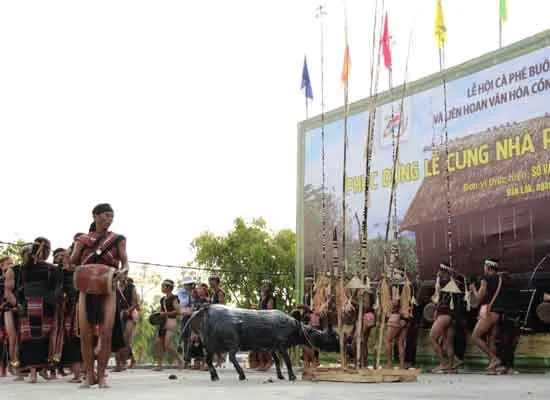 Phục hồi lễ hội cúng nhà rông của người Bahnar ở Gia Lai ảnh 2