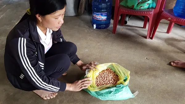 Vụ chủ tịch huyện hủy giống tốt để dân nhận giống kém: Bí thư Tỉnh ủy yêu cầu xử lý nghiêm ảnh 1