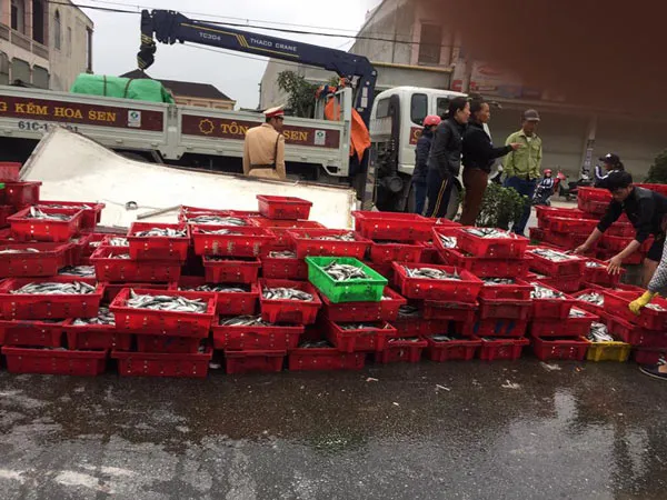 Hà Tĩnh: Xe chở hai tấn cá lật ngã, người dân phụ tài xế thu gom ảnh 1