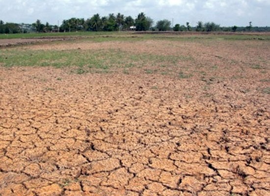 El Nino phenomenon will spawn extreme weather