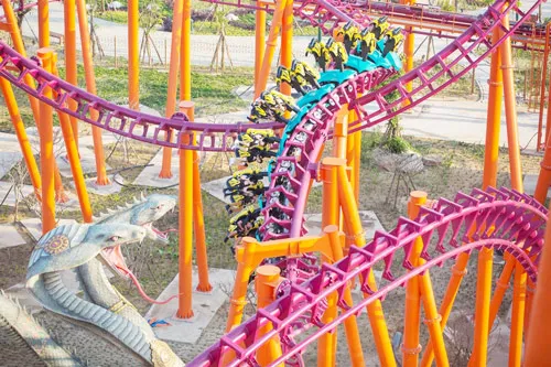 Vui hết mình với “hổ mang chúa Ấn Độ” ảnh 2