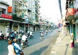 Những mảng xanh… trên giấy