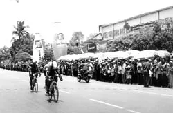 Tribeco và Cúp Truyền hình