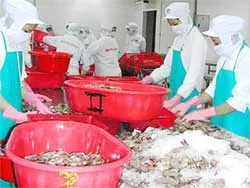Bàn các giải pháp phát triển kinh tế - xã hội quý 2 - 2006