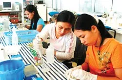 Bài 1: Lỏng lẻo liên kết “4 nhà”