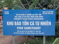 Xót xa “vựa” cá đồng! ảnh 2