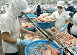 Bài 4: Loay hoay với tôm, cá