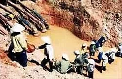 Mỏ vàng Bồng Miêu đi vào hoạt động