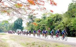 Tay đua Nguyễn Quốc Dũng về nhất chặng 5 ảnh 1