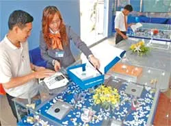 Cung cấp điện thoại cố định không dây