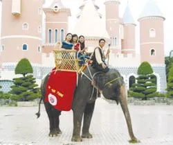 Đầm Sen sôi động... ảnh 2