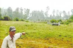 Chỉ có 30 mộ bị san ủi?